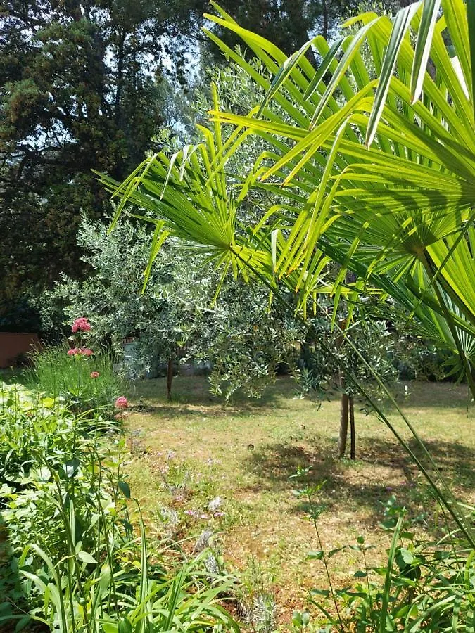 Cozy-Family Apartment Porec