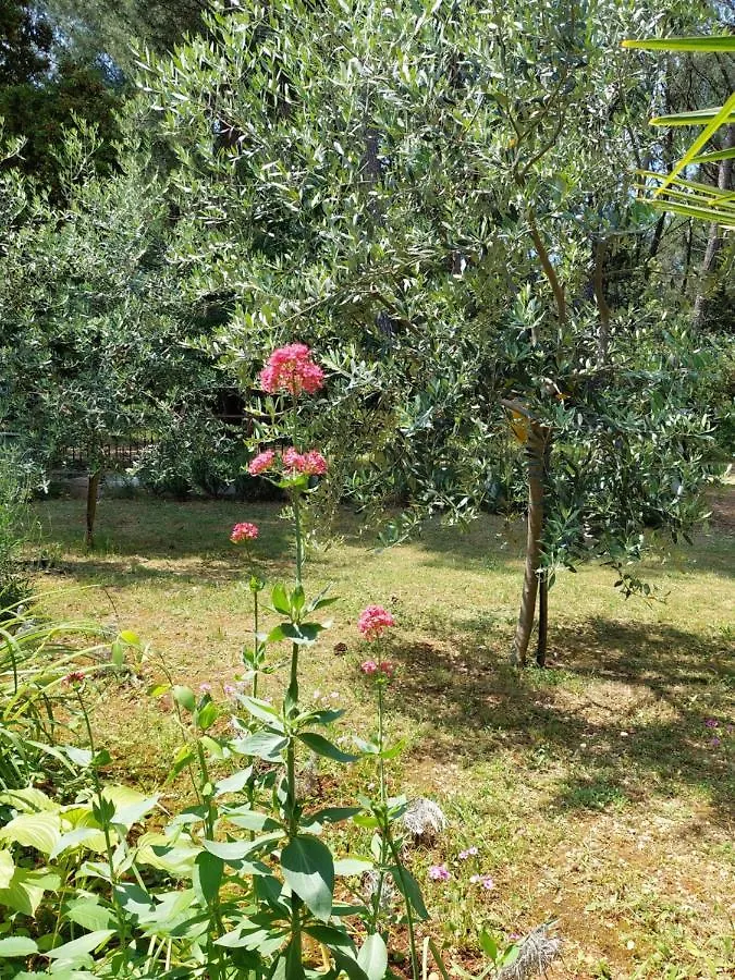 Cozy-Family Apartment Porec